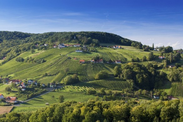 Galeriefoto Blick ins Weinland bei St. Anna am Aigen (c) Steiermark Tourismus Harry Schiffer