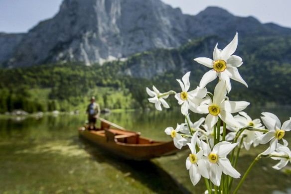 Frühlingsstimmung im Ausseerland (c) Steiermark Tourismus Tom Lamm