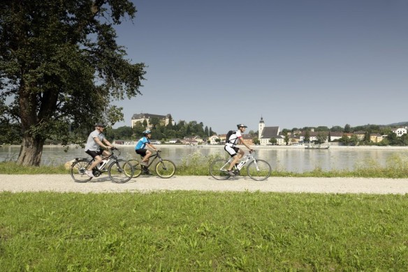 Nordufer Galeriefoto E-Biken am Donauradweg bei Grein (c) Österreich Werbung Peter Burgstaller
